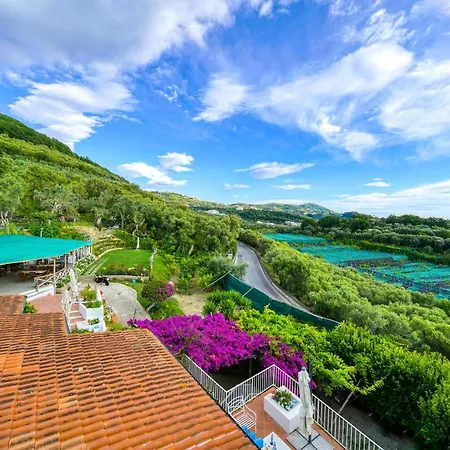 Lorelei Alojamento de Acomodação e Pequeno-almoço