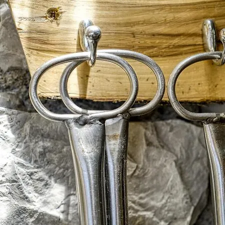 Alojamento de Acomodação e Pequeno-almoço Lorelei 4*