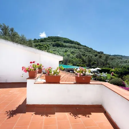 Alojamento de Acomodação e Pequeno-almoço Lorelei 4*