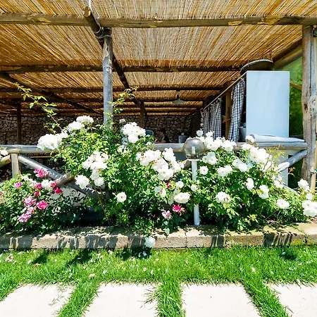 Lorelei Massa Lubrense