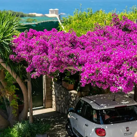 Lorelei Couette-café