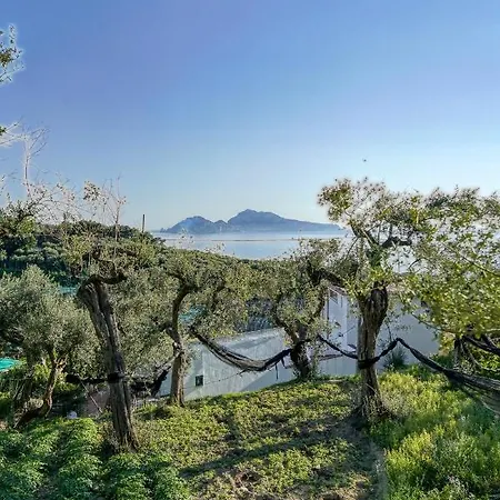 Couette-café Lorelei