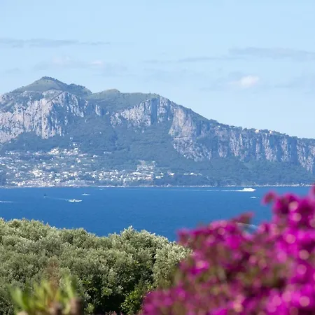 Lorelei Couette-café