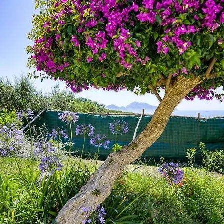 Lorelei Bed & Breakfast 3*