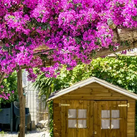 Lorelei Massa Lubrense